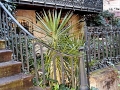 Savannah - Architecture Wrought Iron Rails