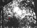 Savannah - Park