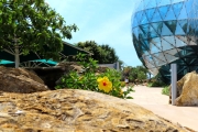 Dali Museum