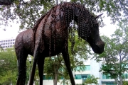 Iron Horse