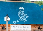 St Pete Wall Art