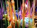 Chihuly Glass