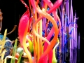 Chihuly Glass