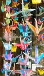 Sumter SC - Paper Swans