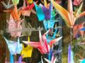 Sumter SC - Paper Swans