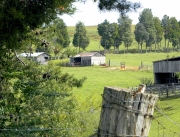 East Tennessee Farm