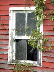 East Tennessee Window