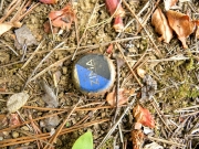 East Tennessee Zima