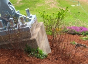 Greenville SC - Falls Park Liberty Bridge Support