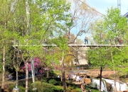 Greenville SC - Falls Park Liberty Bridge View