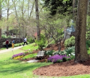 Greenville SC - Falls Park Garden Bench