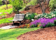 Greenville SC - Falls Park Garden Bench
