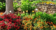 Greenville SC - Falls Park Garden Spring Flowers