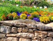 Greenville SC - Falls Park Garden Variety and Rocks