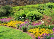 Greenville SC - Falls Park Garden