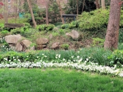 Greenville SC - Falls Park Garden Rocks