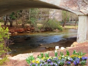 Greenville SC - Falls Park Reedy River Overpass