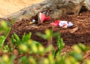 Greenville SC - Falls Park the Shoes