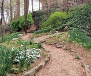 Greenville SC - Falls Park Winding Stairs