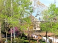 Greenville SC - Falls Park Liberty Bridge View