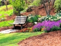 Greenville SC - Falls Park Garden Bench