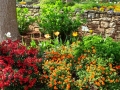 Greenville SC - Falls Park Garden Spring Flowers