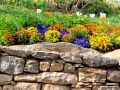 Greenville SC - Falls Park Garden Variety and Rocks