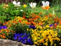 Greenville SC - Falls Park Garden Variety