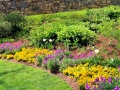 Greenville SC - Falls Park Garden