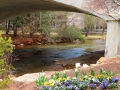 Greenville SC - Falls Park Reedy River Overpass