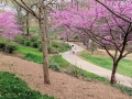 Greenville SC - Falls Park Walking Path