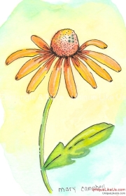 Cornflower Yellow