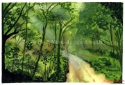 Path in the Woods