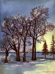Snowy Trees