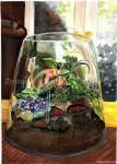 Terrarium