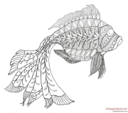 Zentangle Inspired Art - Angel Fish