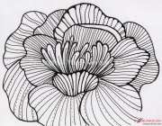 Zentangle Inspired Art - Floral Chrysanthemum