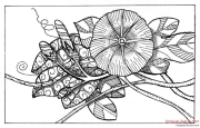 Zentangle Inspired Art - Morning Glory