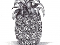 Zentangle Inspired Art - Pineapple