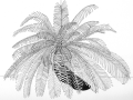 Zentangle Inspired Art - Palm Silhouette