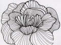 Zentangle Inspired Art - Floral Chrysanthemum