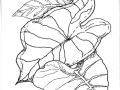 Zentangle Inspired Art - Caladium Leaves