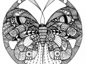 Zentangle Inspired Art - Moth