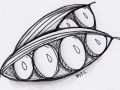 Zentangle - Pea Pod I