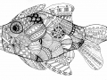 Zentangle Inspired Art - Koi