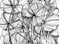 Zentangle Inspired Art - Wild Flowers